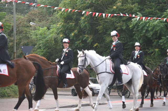 Quadrille 2008