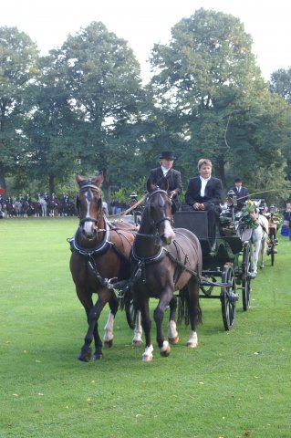 Quadrille 2008