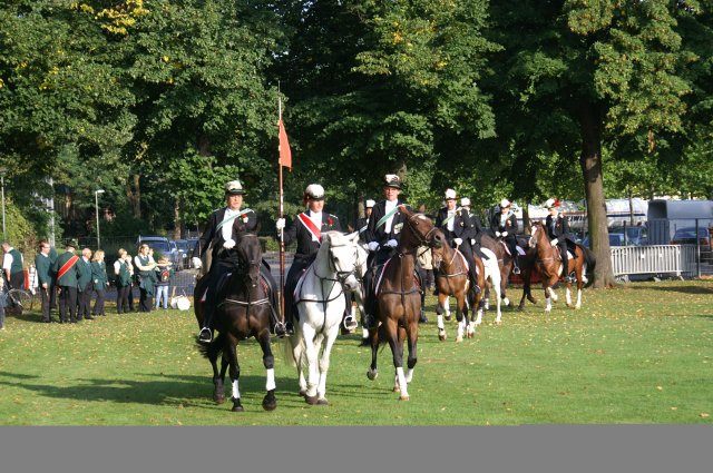Quadrille 2008