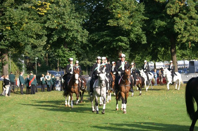 Quadrille 2008