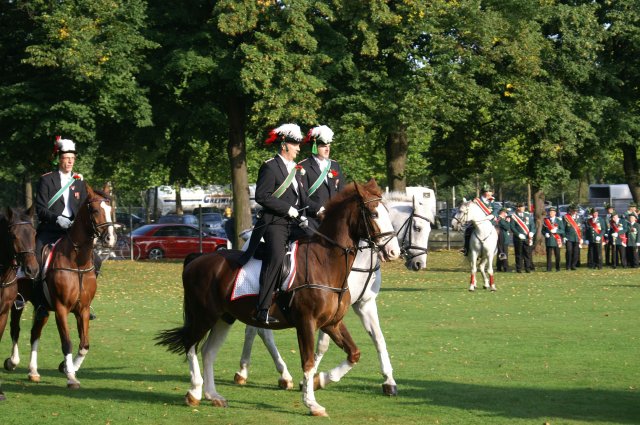 Quadrille 2008