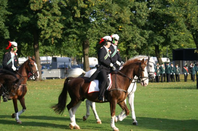 Quadrille 2008