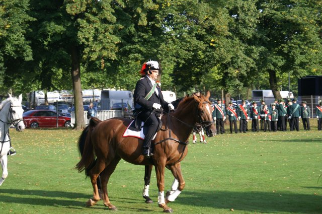 Quadrille 2008