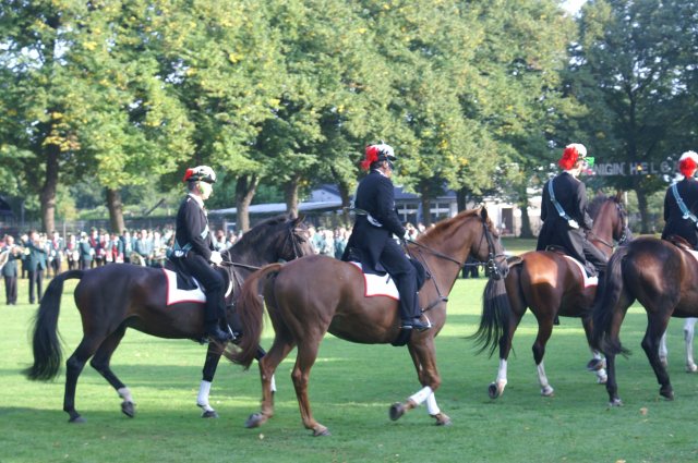Quadrille 2008