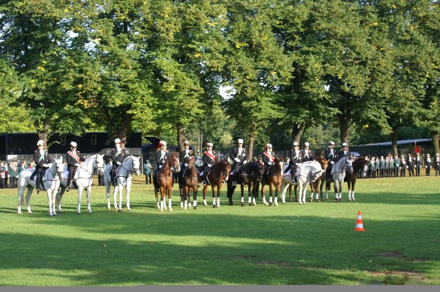 Quadrille 2008