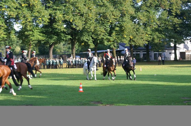 Quadrille 2008