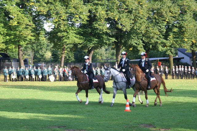 Quadrille 2008