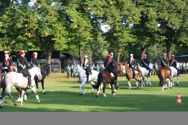 Quadrille 2008