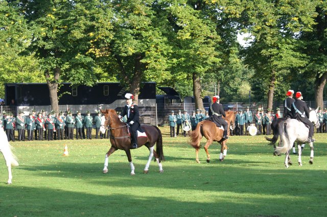 Quadrille 2008