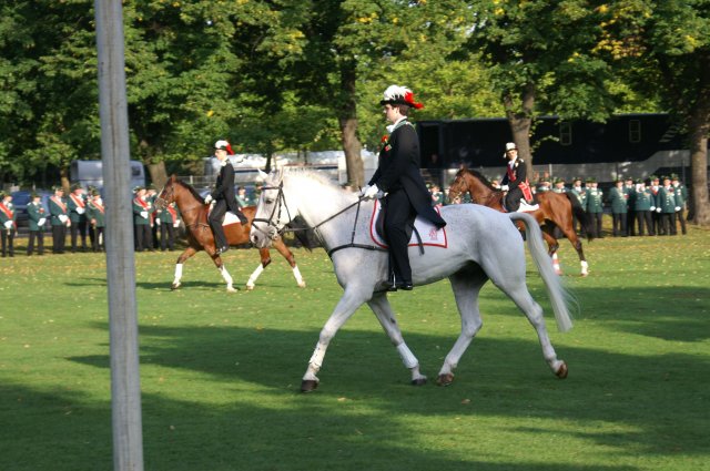 Quadrille 2008