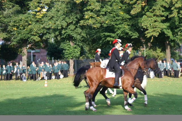 Quadrille 2008