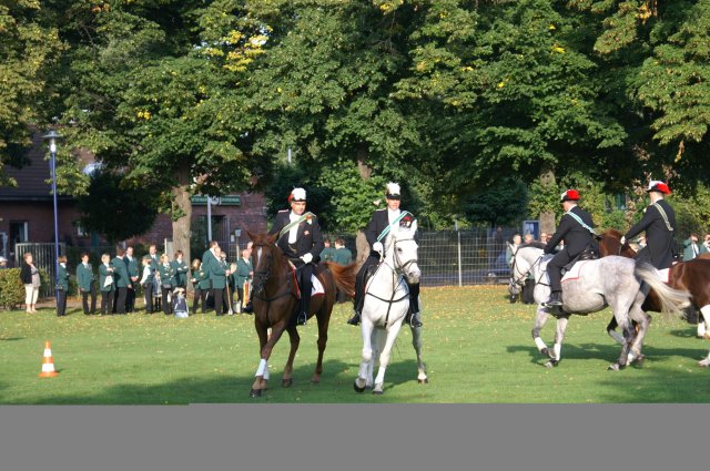 Quadrille 2008