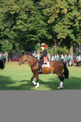 Quadrille 2008