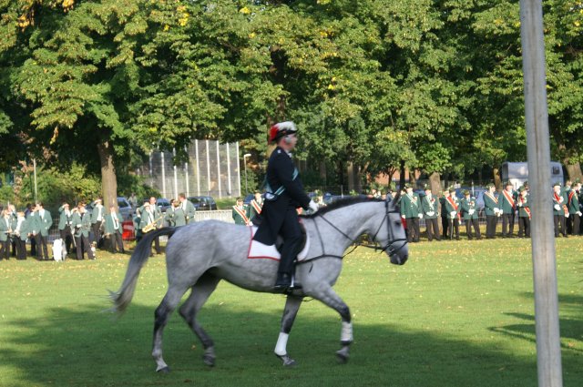 Quadrille 2008