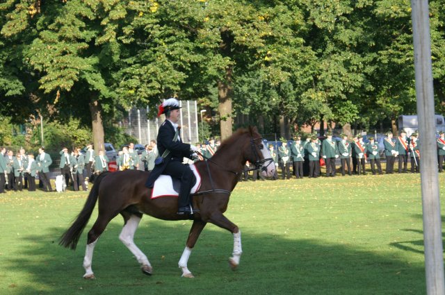 Quadrille 2008