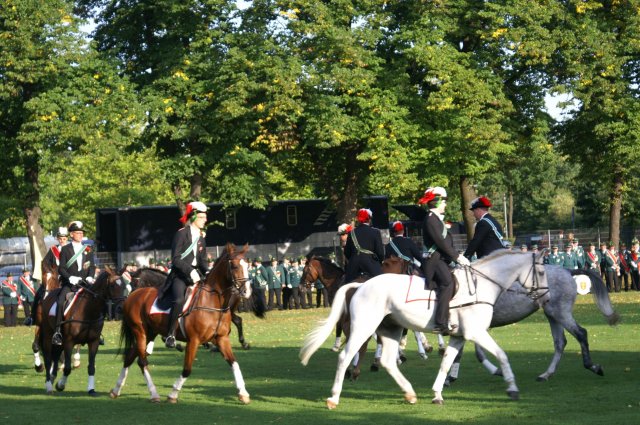 Quadrille 2008
