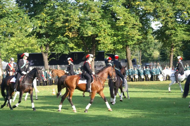 Quadrille 2008