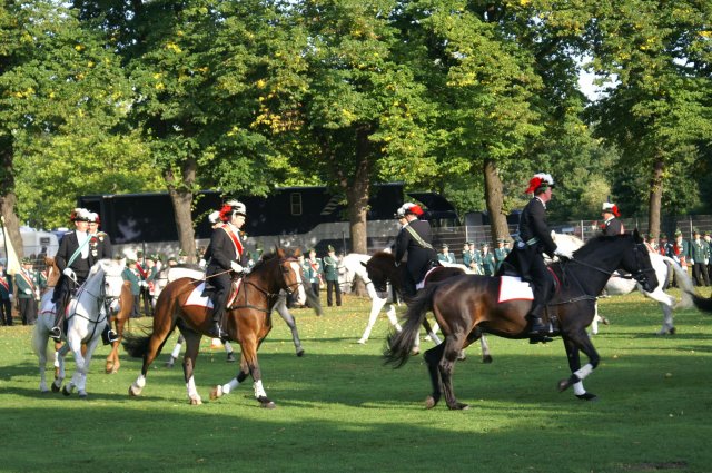 Quadrille 2008