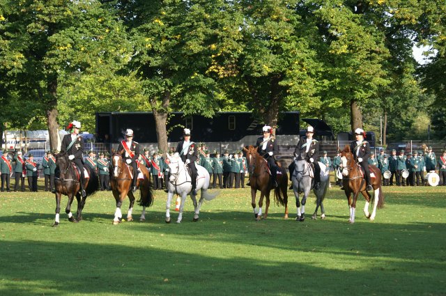 Quadrille 2008