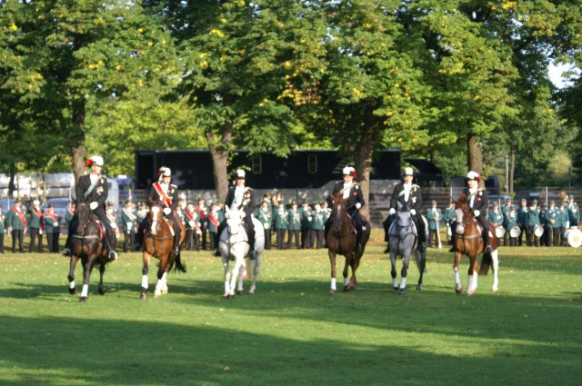 Quadrille 2008