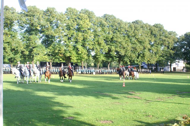 Quadrille 2008