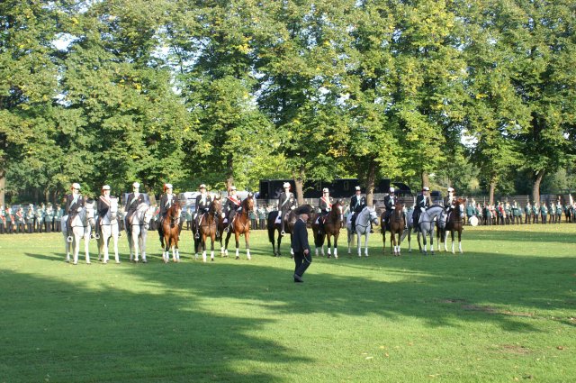 Quadrille 2008