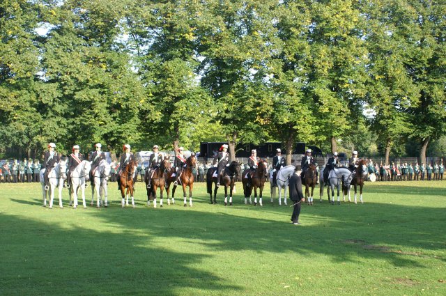 Quadrille 2008