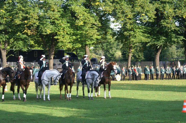 Quadrille 2008