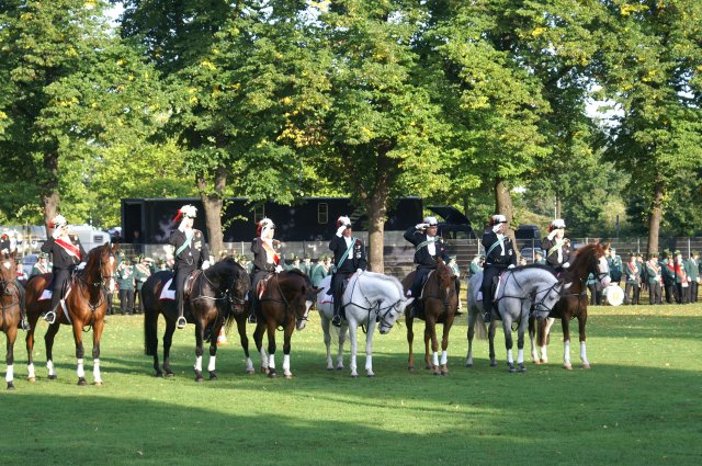 Quadrille 2008