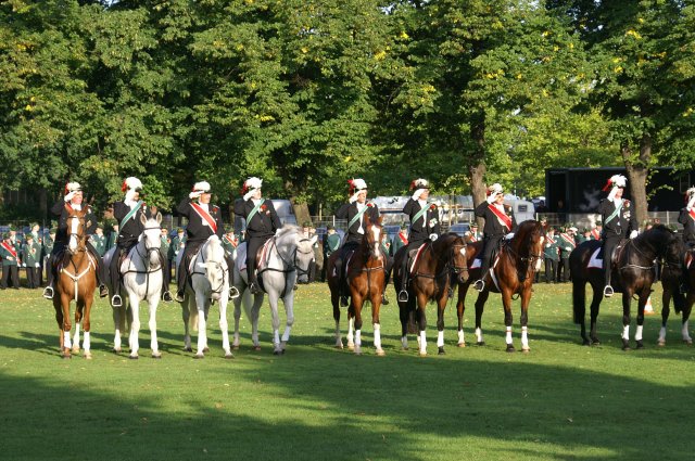 Quadrille 2008