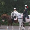 Quadrille 2008