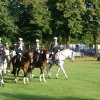 Quadrille 2008