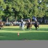 Quadrille 2008
