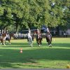 Quadrille 2008