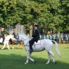 Quadrille 2008