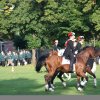 Quadrille 2008