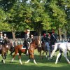 Quadrille 2008