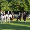 Quadrille 2008