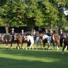 Quadrille 2008
