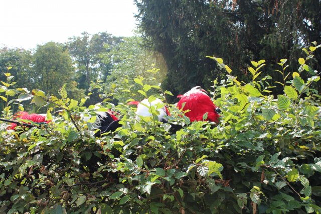Antreten auf der Paradewiese