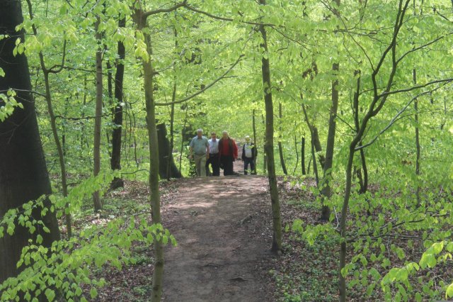 Wandertag 2012 (Öffentlich)