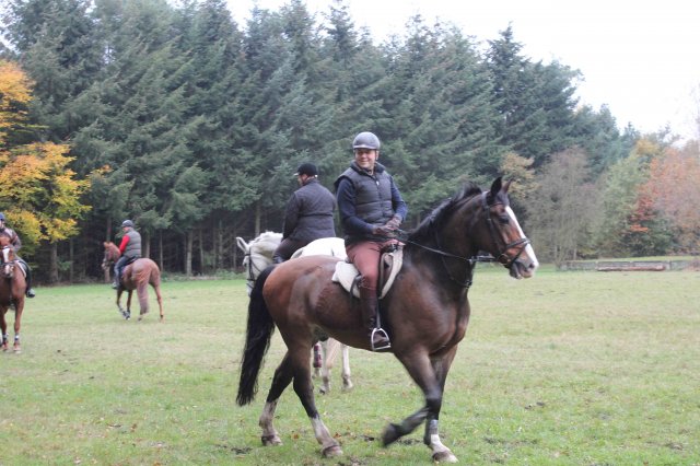 Herbstausritt 2016