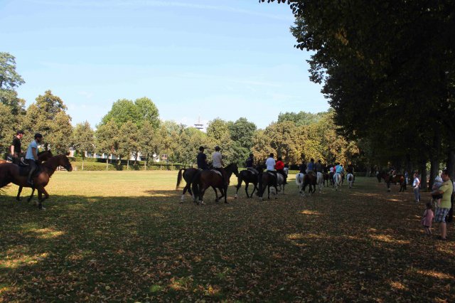 Probereiten 2016  (Öffentlich)