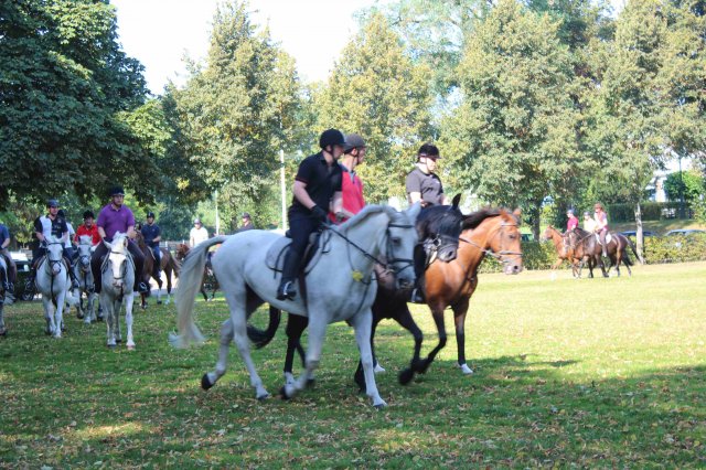 Probereiten 2016  (Öffentlich)