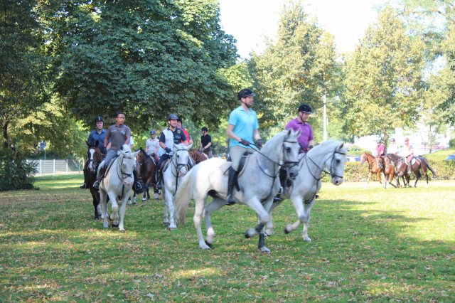 Probereiten 2016  (Öffentlich)