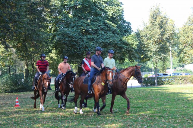 Probereiten 2016  (Öffentlich)