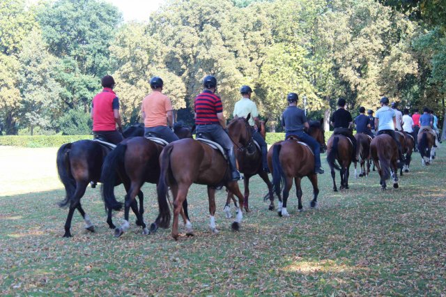 Probereiten 2016  (Öffentlich)