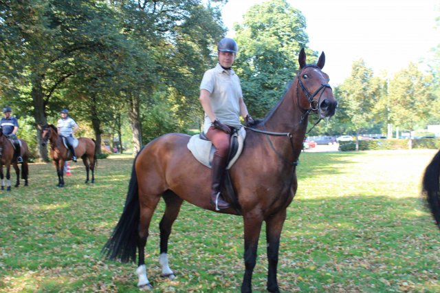 Probereiten 2016  (Öffentlich)